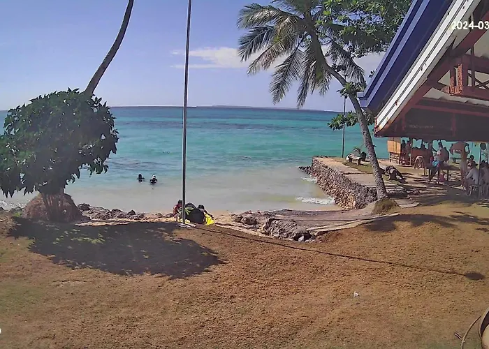 Bermuda Aquatica * Daanbantayan